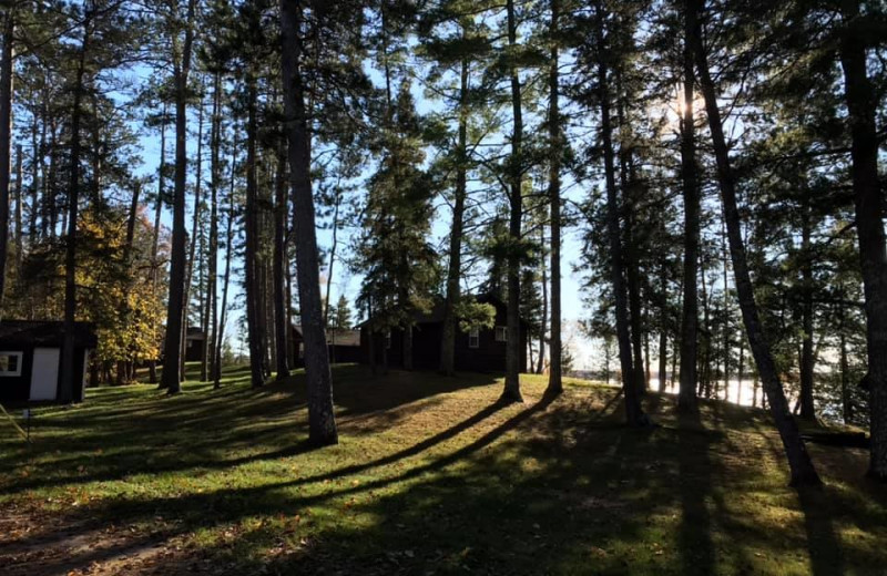 Cabins at Tim O Shanter Resort.