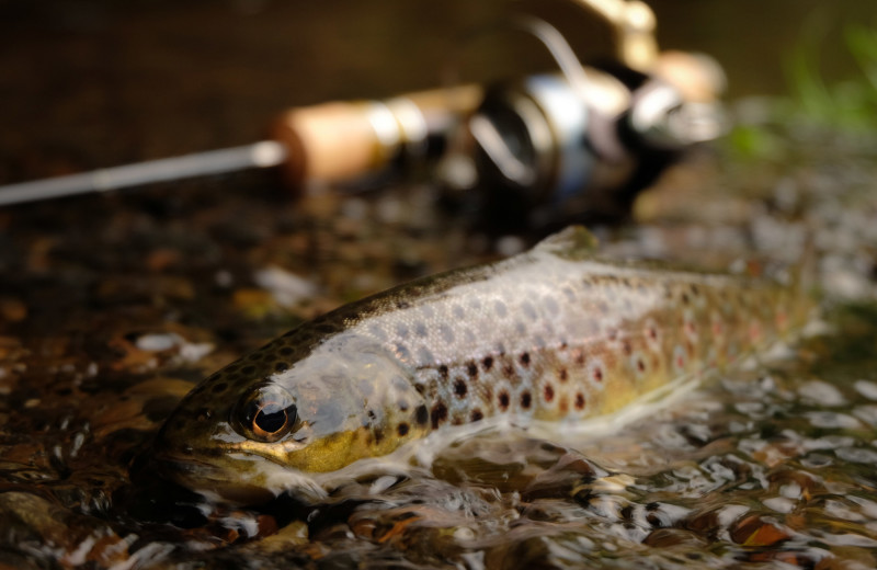 Fishing at Hardscrabble Ranch.