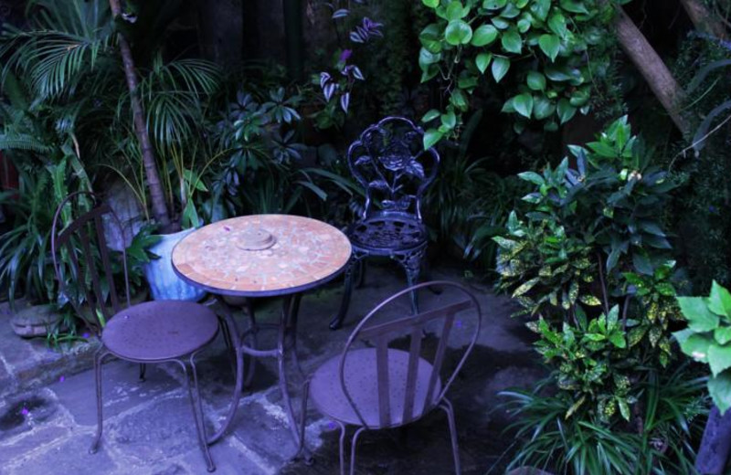 Patio at Posada Belen Hotel Museum.