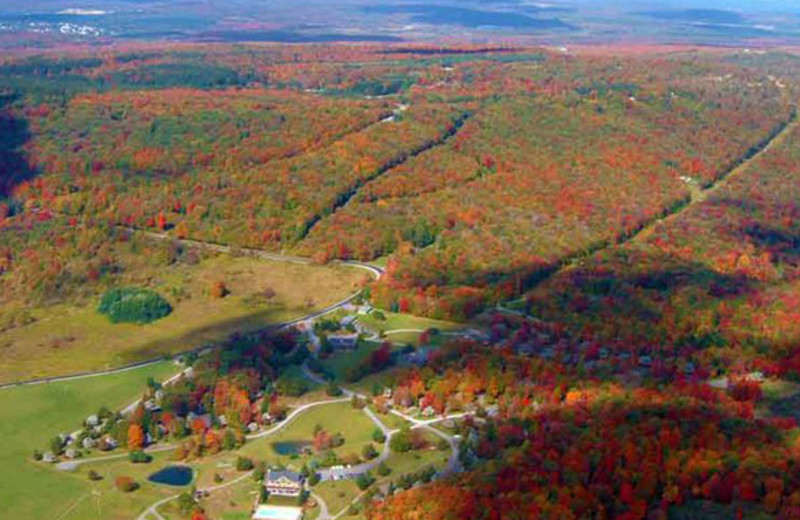 Aerial view of Black Bear Resort.