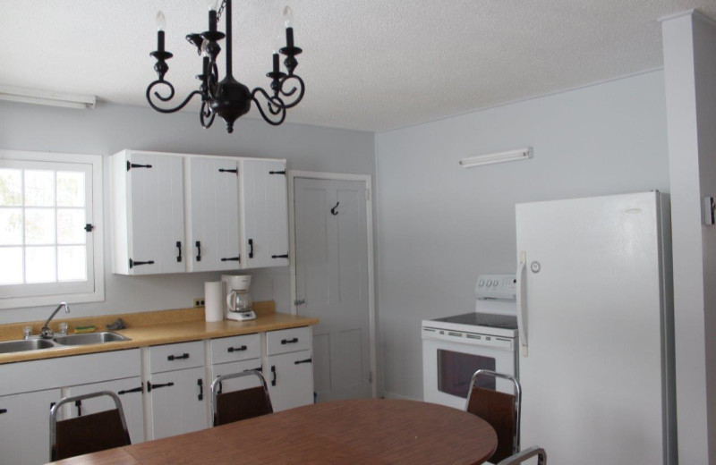 Cabin kitchen at Tally Ho Inn.