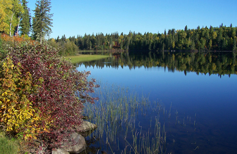 Lake view at Wilderness Air.