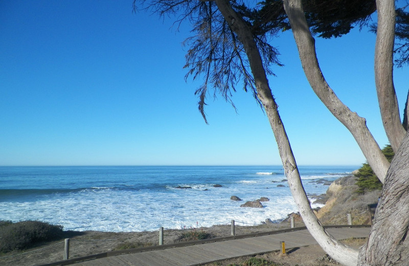 Moonstone Beach boardwalk near Cambria Pines Lodge.