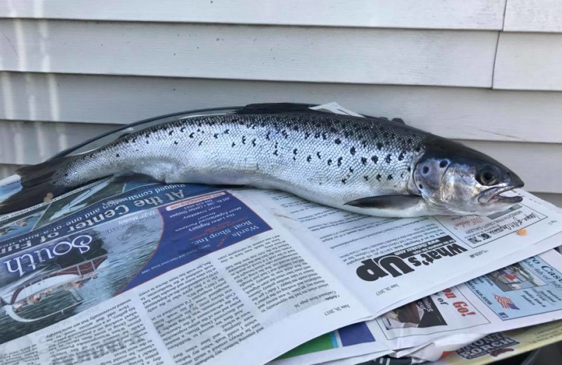 Fishing at Channel Waterfront Cottages.