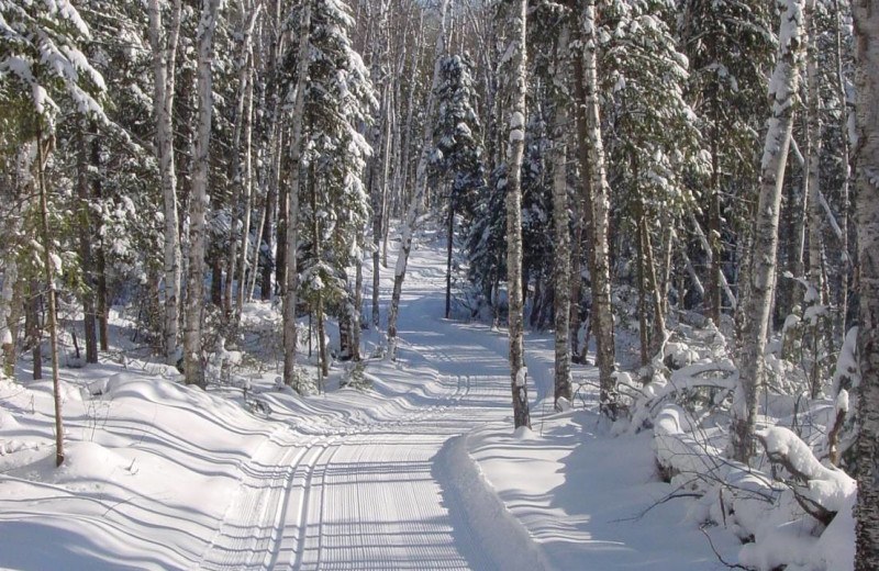 Ski trail at Golden Eagle Lodge.