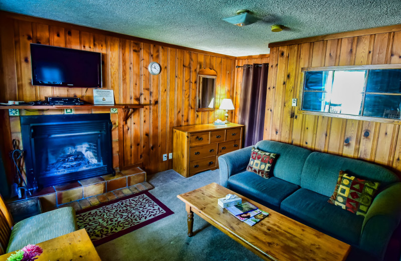 Cabin living room at Bonnie View Inn.