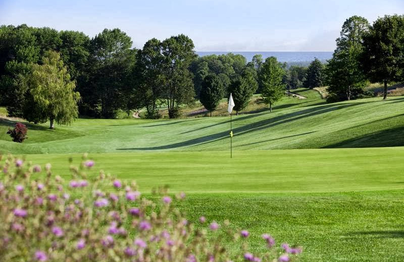 Elmbrook Golf Course near The Cherry Tree Inn & Suites.