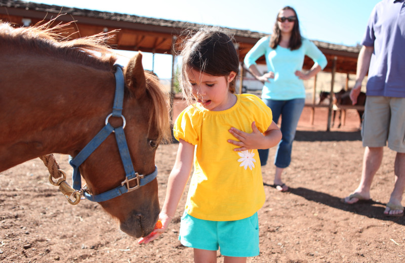 Child and horse at Kah-Nee-Ta Resort and Spa.