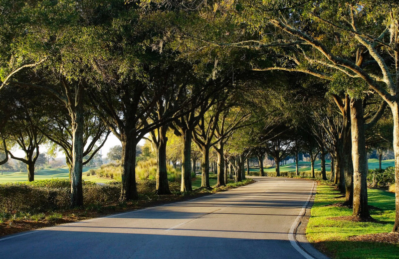 Path at Villas of Grand Cypress.
