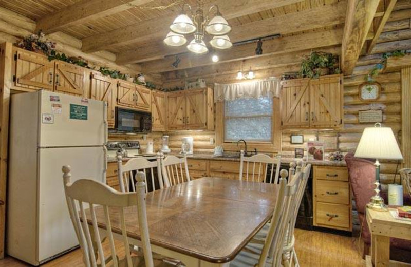 Cabin kitchen at Eagles Ridge Resort.