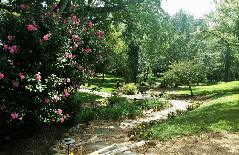 Garden at The Inn at Willow Grove.