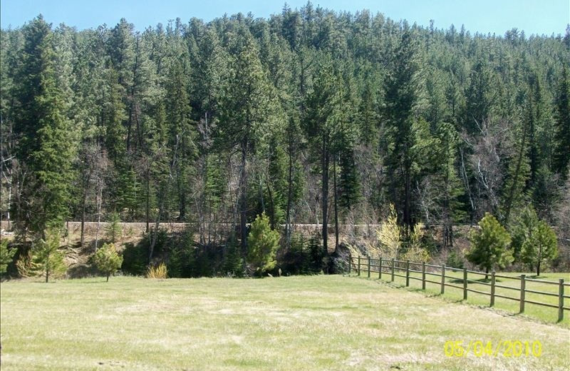 Grounds at American Pines Cabins.