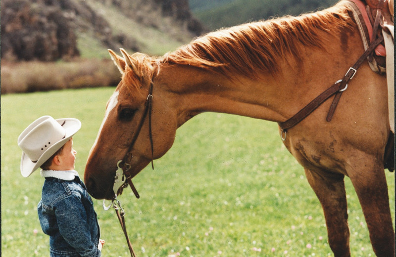 Horse and child at Paradise Guest Ranch.