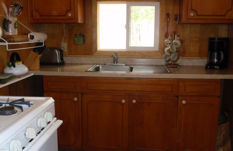 Cabin kitchen at Golden Rule Resort.