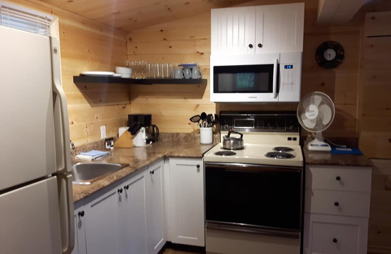 Cabin kitchen at Northern Lights Resort.