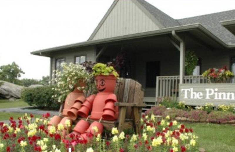 Welcome to the Pinnacle Inn Resort