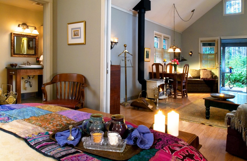 Cabin interior at WildSpring Guest Habitat.