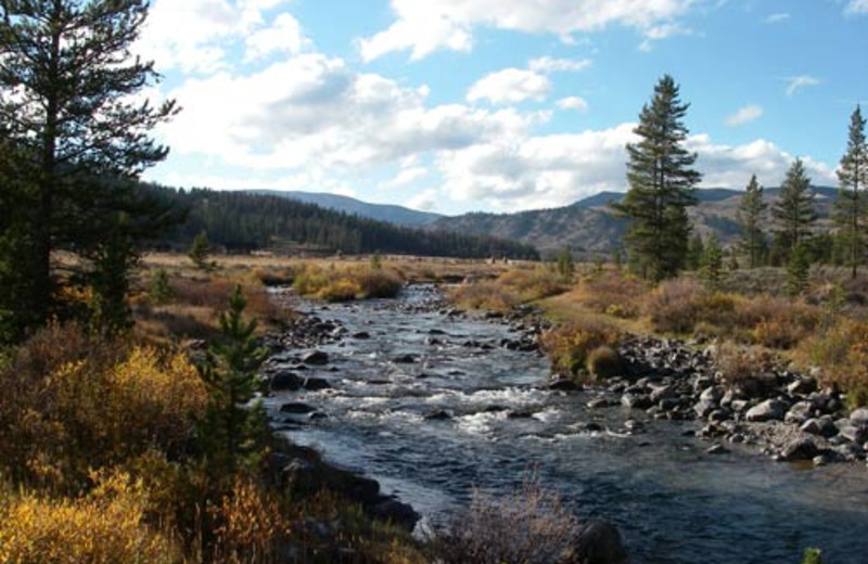 Taylor Fork Fall at Nine Quarter Circle Ranch