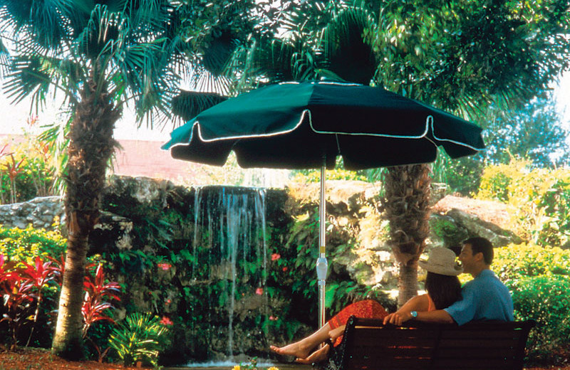 Lounging Around at Park Shore Resort