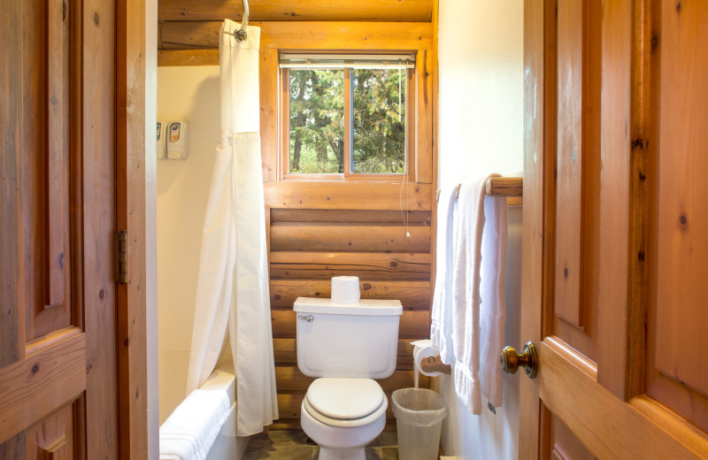 Cabin bathroom at North Forty Resort.