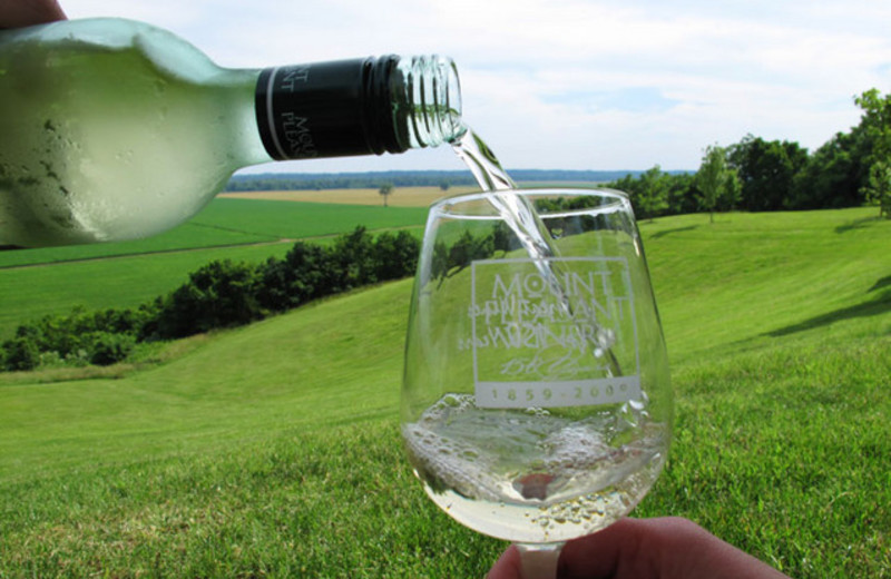 Mount Pleasant Winery Wine Class 101 near Branson Gazebo Inn.