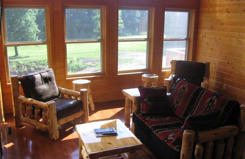 Beautiful view of the meadow and Cedar River with a gas fireplace, large deck and gas grill.