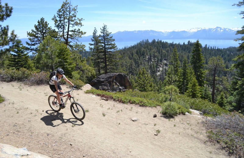 Biking at Heavenly Valley Lodge.