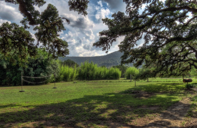 Cabin grounds at Foxfire Cabins.