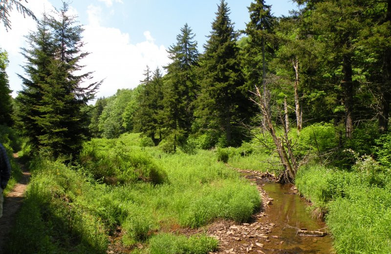 Walking path at Smoke Hole Caverns & Log Cabin Resort.