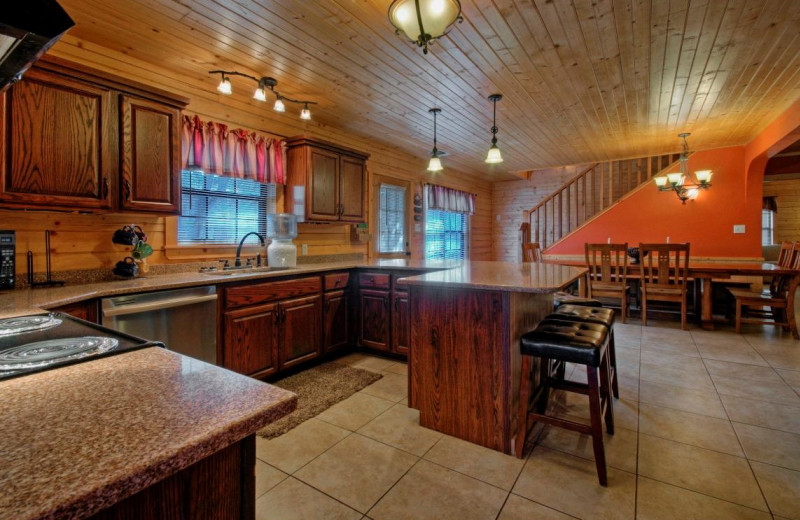 Cabin kitchen at Thunderbird Resort.