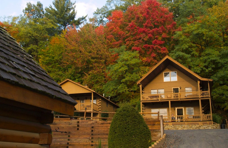 Cabin exterior at Trout House Village Resort.