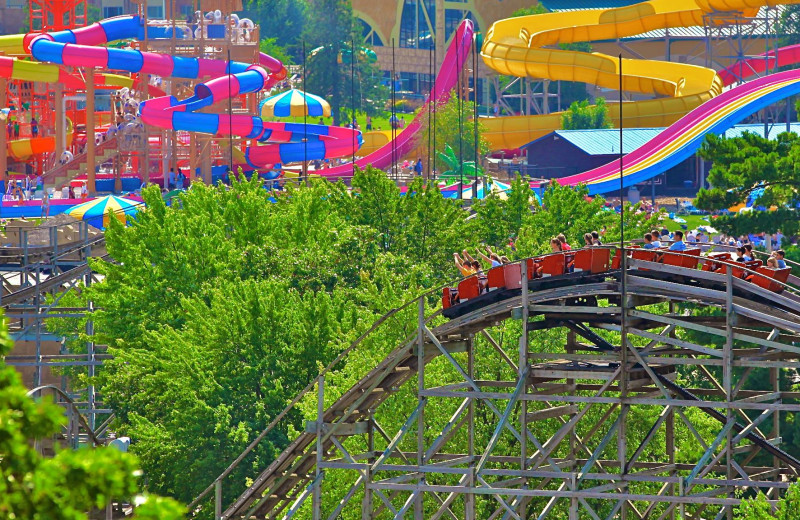 Amusement park at Mt. Olympus Resort.