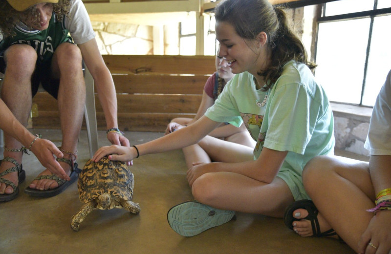 Animal education at Mo-Ranch.