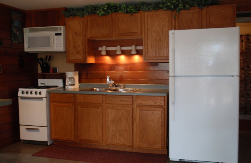 Cabin kitchen at Golden Rule Resort.