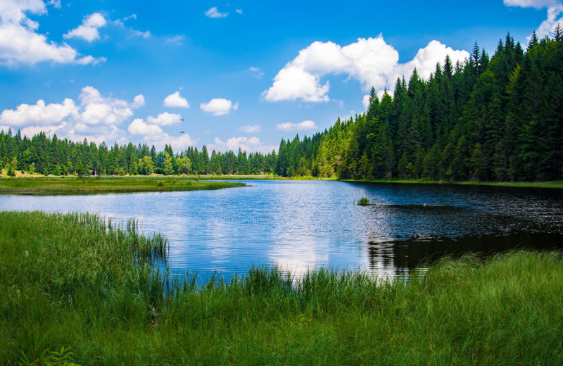 Lake near Acorn Acres Campground.