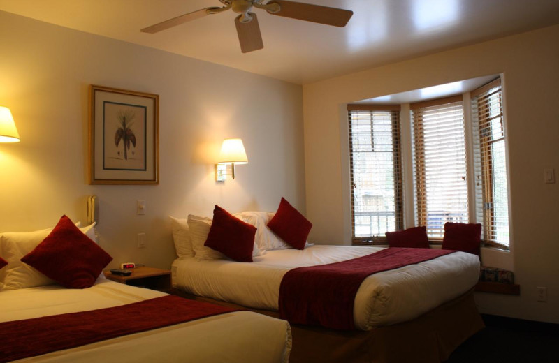 Guest room at St. Moritz Lodge & Condominiums.