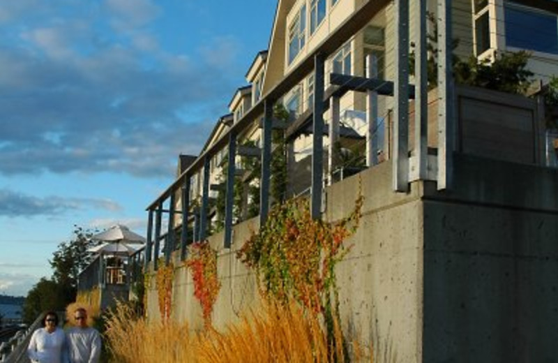 Exterior View of The Chrysalis Inn 