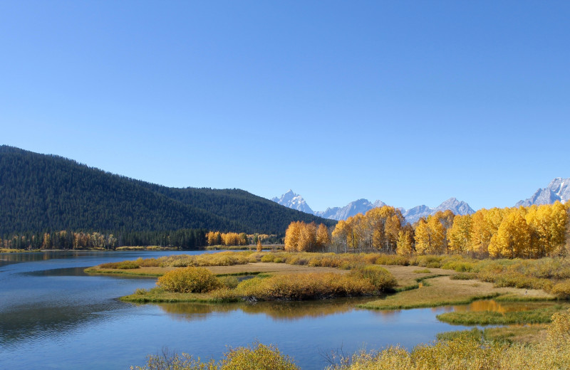 Scenic view near Alpenhof Lodge.