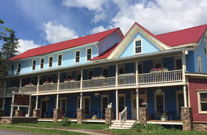 Exterior view of Hammo's Brew Pub