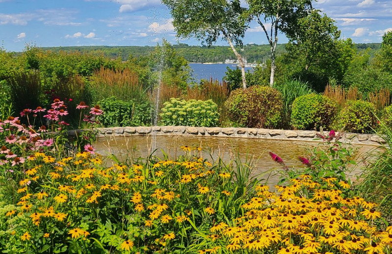 Garden at Country House Resort.