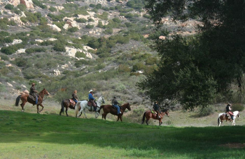 Bring your horse at San Vicente Golf Resort.
