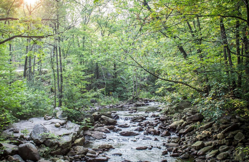 Creek near The Woodlands.