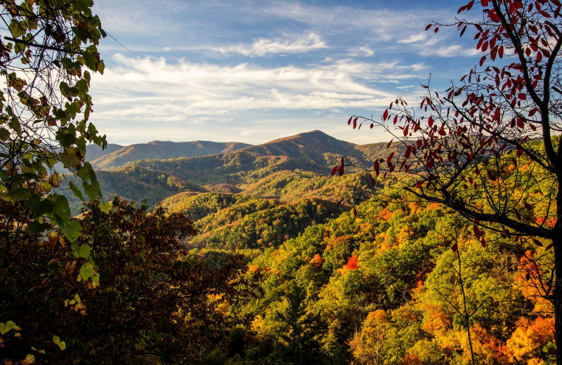 Mountain view at Amazing Views of the Smokies.