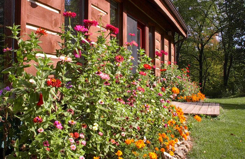 The Grounds at Maple Wood Lodge