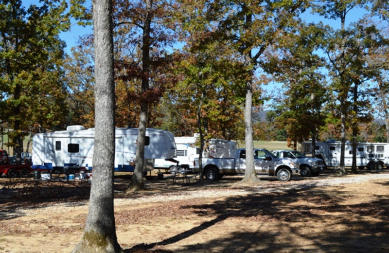 Mulberry Mountain Lodging & Events (Ozark, AR) Resort Reviews