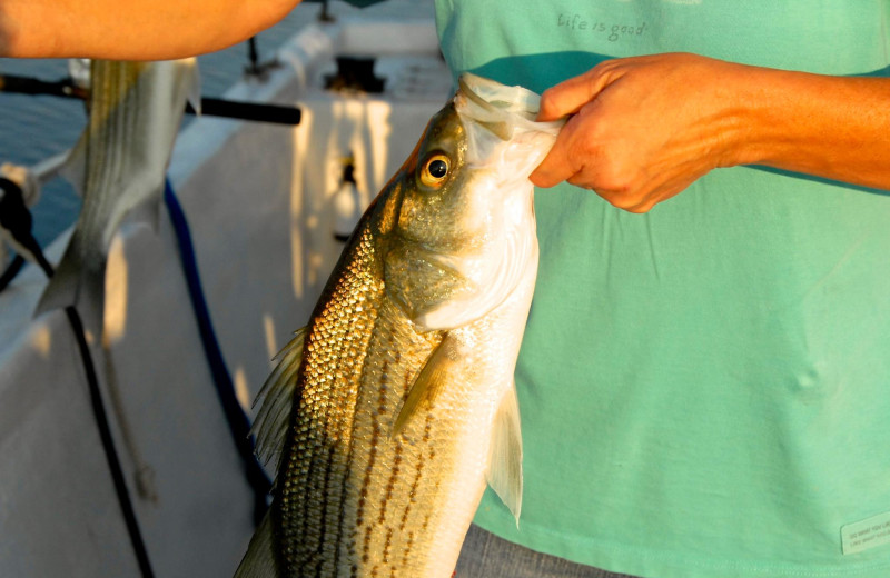 Fishing at Big Chief RV Resort.