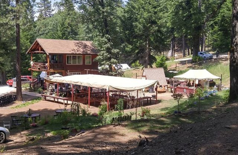 Exterior view of Precious Forest.