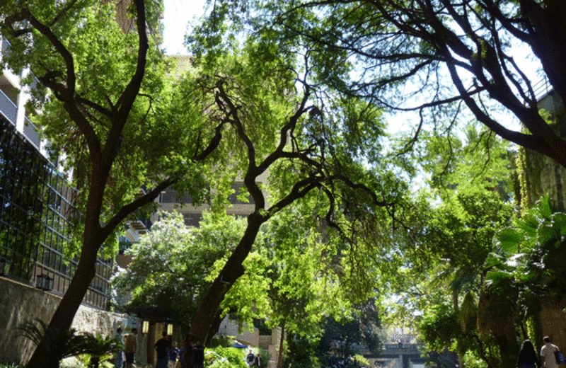 River walk near West 1077 Guest Ranch.