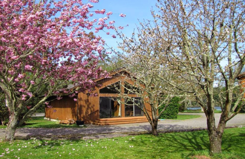 Exterior view of Lake Lodge Bed and Barn.