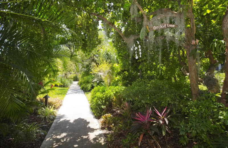 Path at 1800 Atlantic, All Florida Keys Property Management.